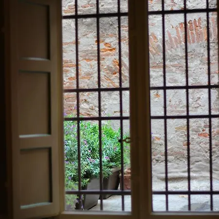 Luccastay 18 *